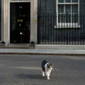 El primer ministro británico Keir Starmer.