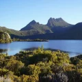 Un arroyo sombreado cerca de Lilydale Falls, donde las temperaturas frías y la cubierta forestal intacta crean condiciones de