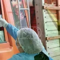 Autoridades sanitarias instalaron controles preventivos ante posibles casos de Hantavirus