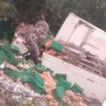 Camión volcado en Cerro Pata con carga de pollo esparcida