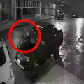Imagen sin título