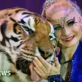 La policía alemana abate a un tigre escapado tras atacar a un hombre