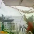 Una lancha del ejército israelí aborda una embarcación de la Flotilla Global Sumud.