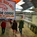 Así lucen los mercados en La Paz
