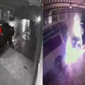 Imagen sin título