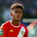 Imagen sin título
