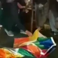 Imagen sin título