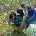 Residentes plantan árboles en Reang Til village como parte de la reforestación tras incendios.