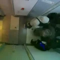 Imagen sin título