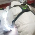 Imagen sin título