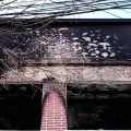 El incendio se produjo en la habitación donde descansaba la mujer/Foto: RRSS