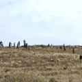 Imagen sin título