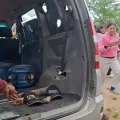 Imagen sin título