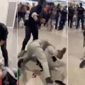 Imagen sin título