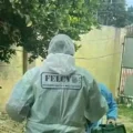 Imagen sin título