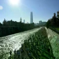 Miles de personas corren un domingo por la ribera del río Mapocho a su paso por la capital chilena.