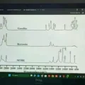 Captura de video del reportaje