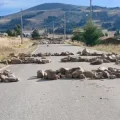 Carretera bloqueada.