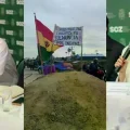 Imagen sin título