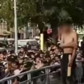 Imagen sin título