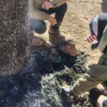 Los investigadores inspeccionan el lugar en el que fueron quemados los tres jóvenes.