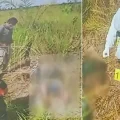 Imagen sin título