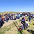 Imagen sin título