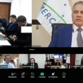El viceministro Justiniano en la Red Mercosur.