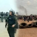 Imagen sin título