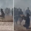 Imagen sin título