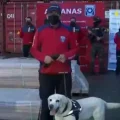 Agentes de Chile custodian una carga de madera impregnada de cocaína