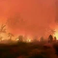 Imagen sin título