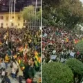 Imagen sin título