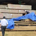 La policía allanó un aserradero en el municipio de Cobija, Pando.