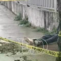 / SEGURIDAD