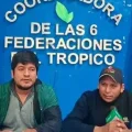 / Correo del Sur