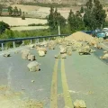 Fotografía tomada hace unas semanas en el camino a Epizana, en Cochabamba.