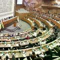 Una sesión de la Asamblea Legislativa Plurinacional.