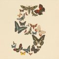Anthropic Fable 5